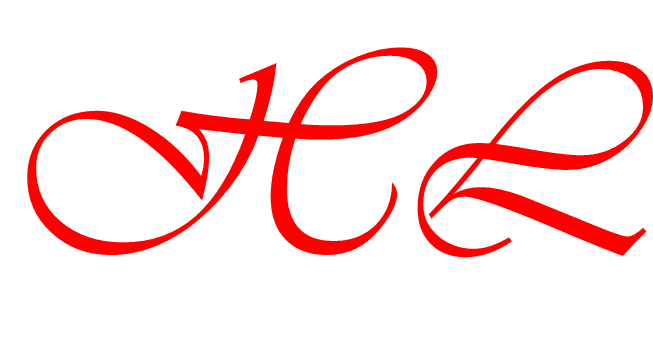 成都远诺天成科技有限公司logo