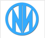 武汉诺辉医药化工有限公司logo