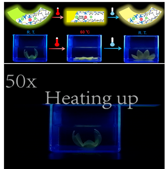 1656497955747167.png image.png